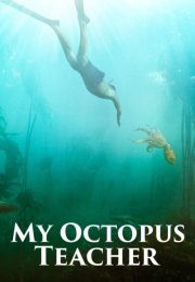 Ahtapottan Öğrendiklerim – My Octopus Teacher izle